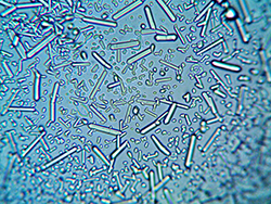 Legionella Awareness and Risk Mitigation Training